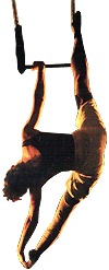 Acrobatica